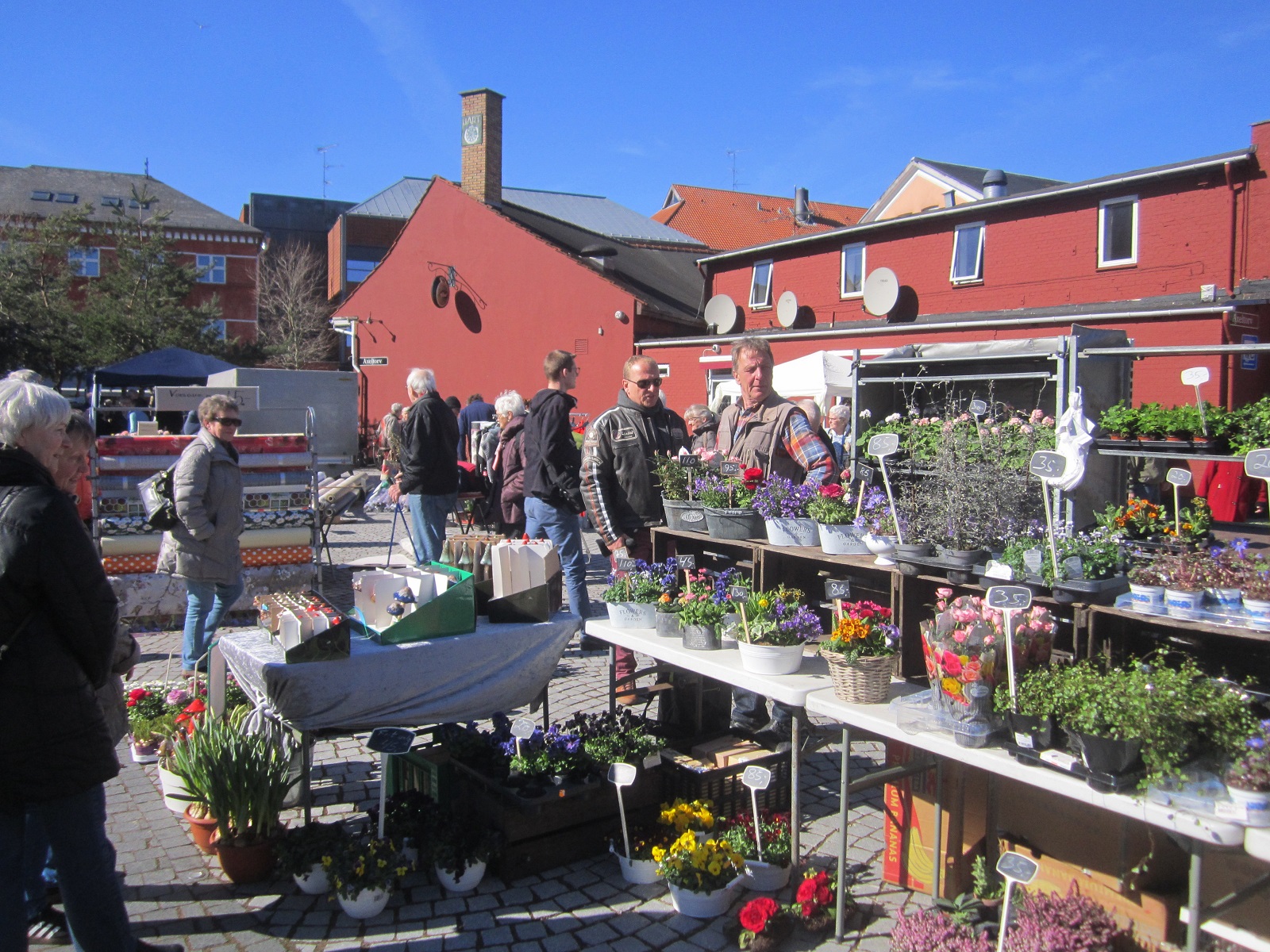 Torvestemning
